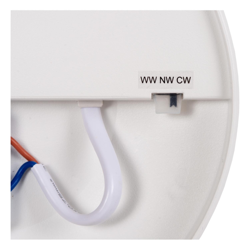 Lucide OLSON - Flush ceiling light Bathroom - Ø 35 cm - LED - CCT - 1x36W 3000K/6500K - IP44 - Opal